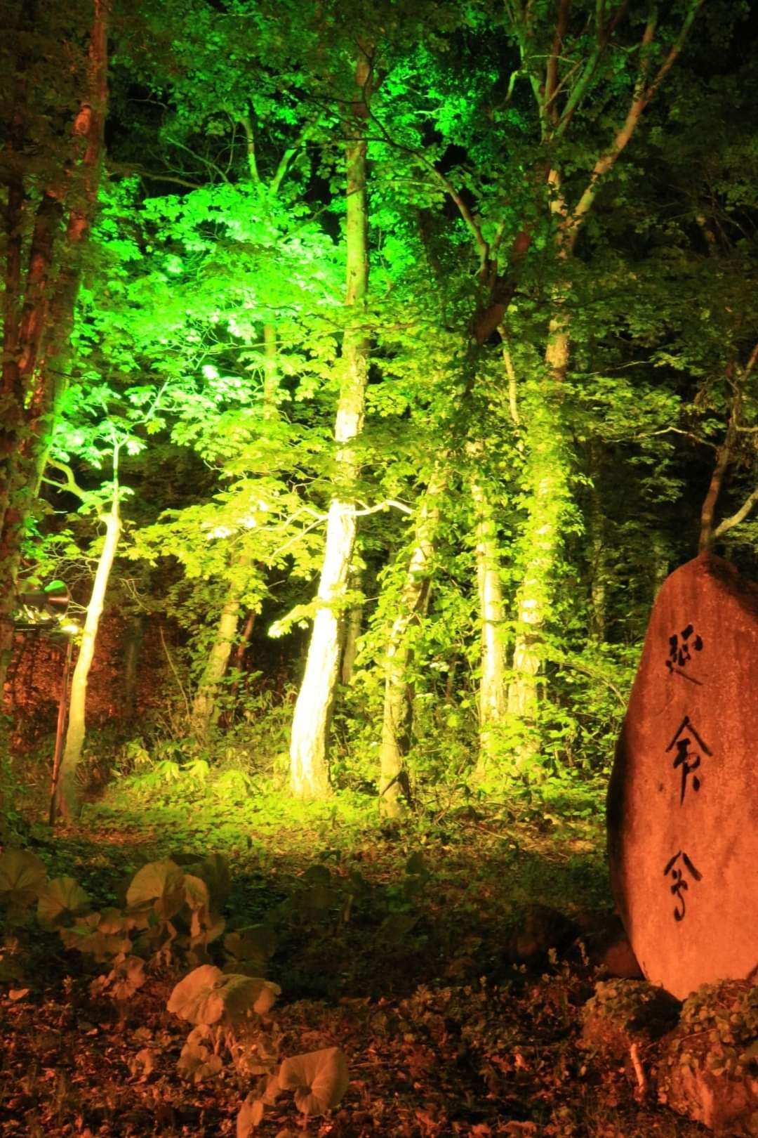 小樽天狗山 | 去趣 chicTrip