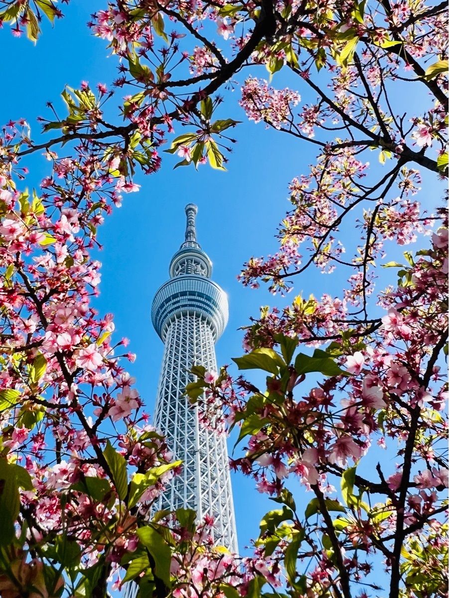 東武橋 | 去趣 chicTrip