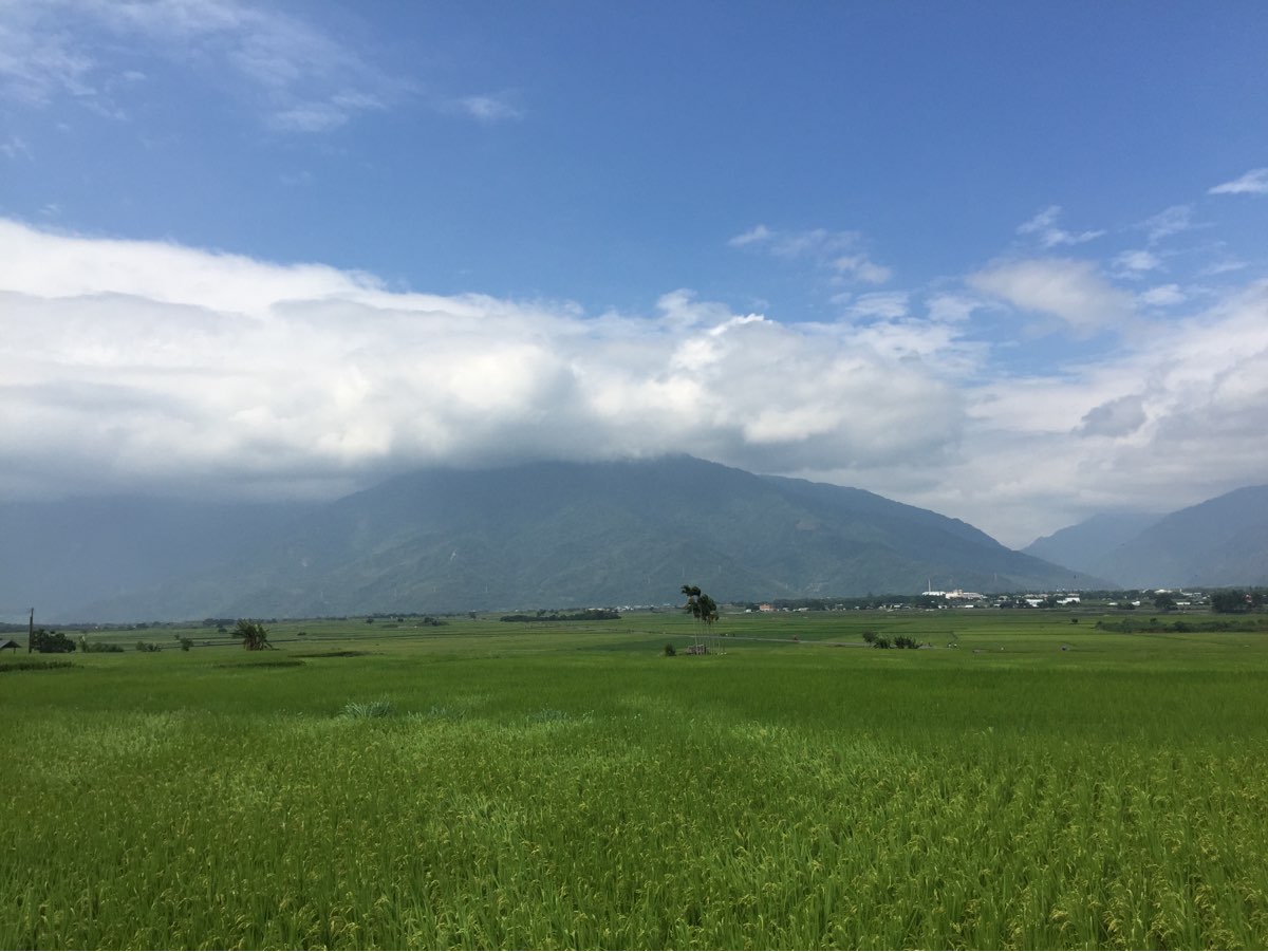 臺東池上錦新三號道路 伯朗大道 | 去趣 chicTrip