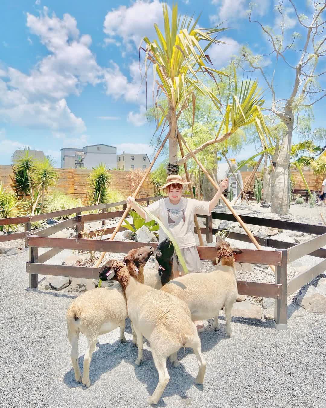 回巢農場 | 去趣 chicTrip