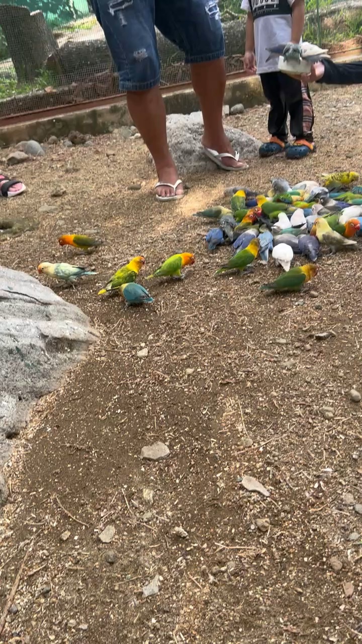 PUGAD Pugo Adventure | 去趣 chicTrip