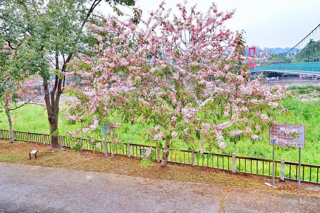 竹崎親水公園 | 去趣 chicTrip