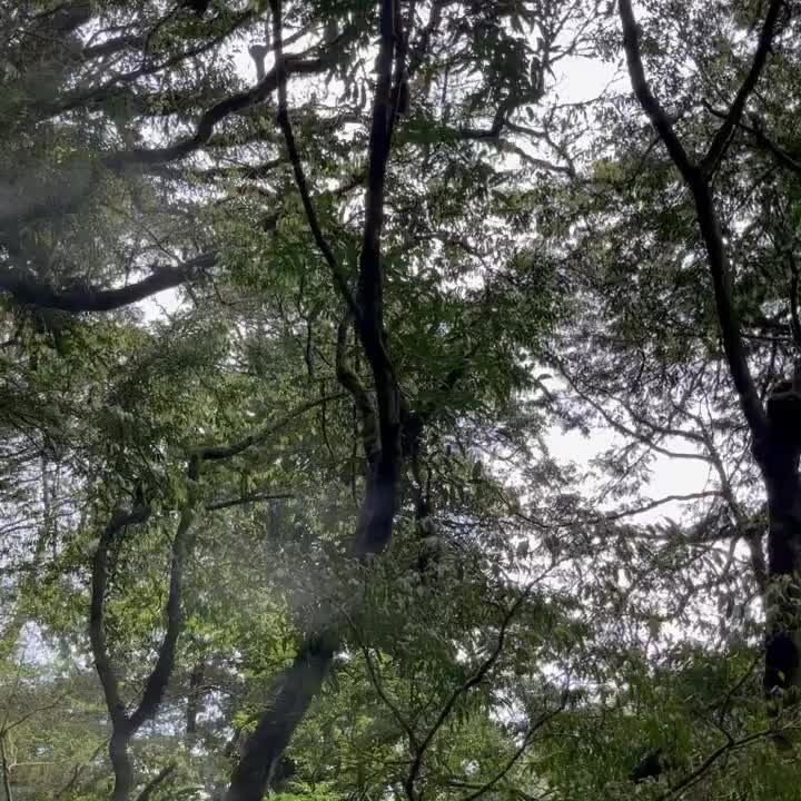 拉拉山 | 去趣 chicTrip