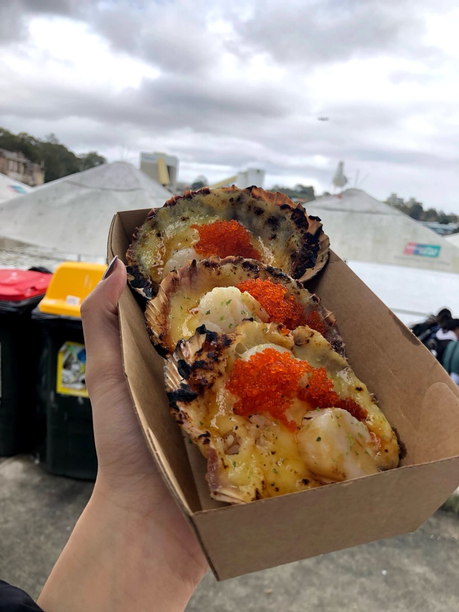 Sydney Fish Market | 去趣 chicTrip