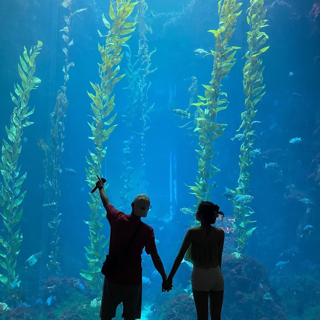 國立海洋生物博物館 | 去趣 chicTrip