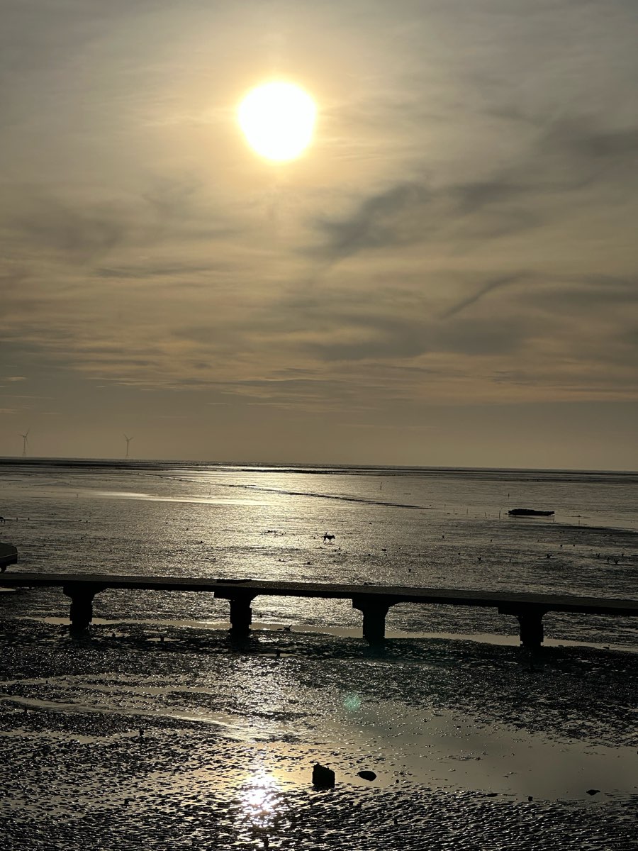 香山濕地賞蟹步道 | 去趣 chicTrip