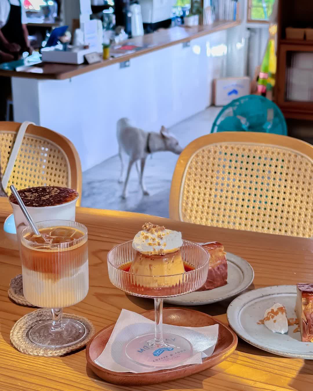 MONDAY COFFEE&FOOD TAITUNG/海邊咖啡屋 | 去趣 chicTrip