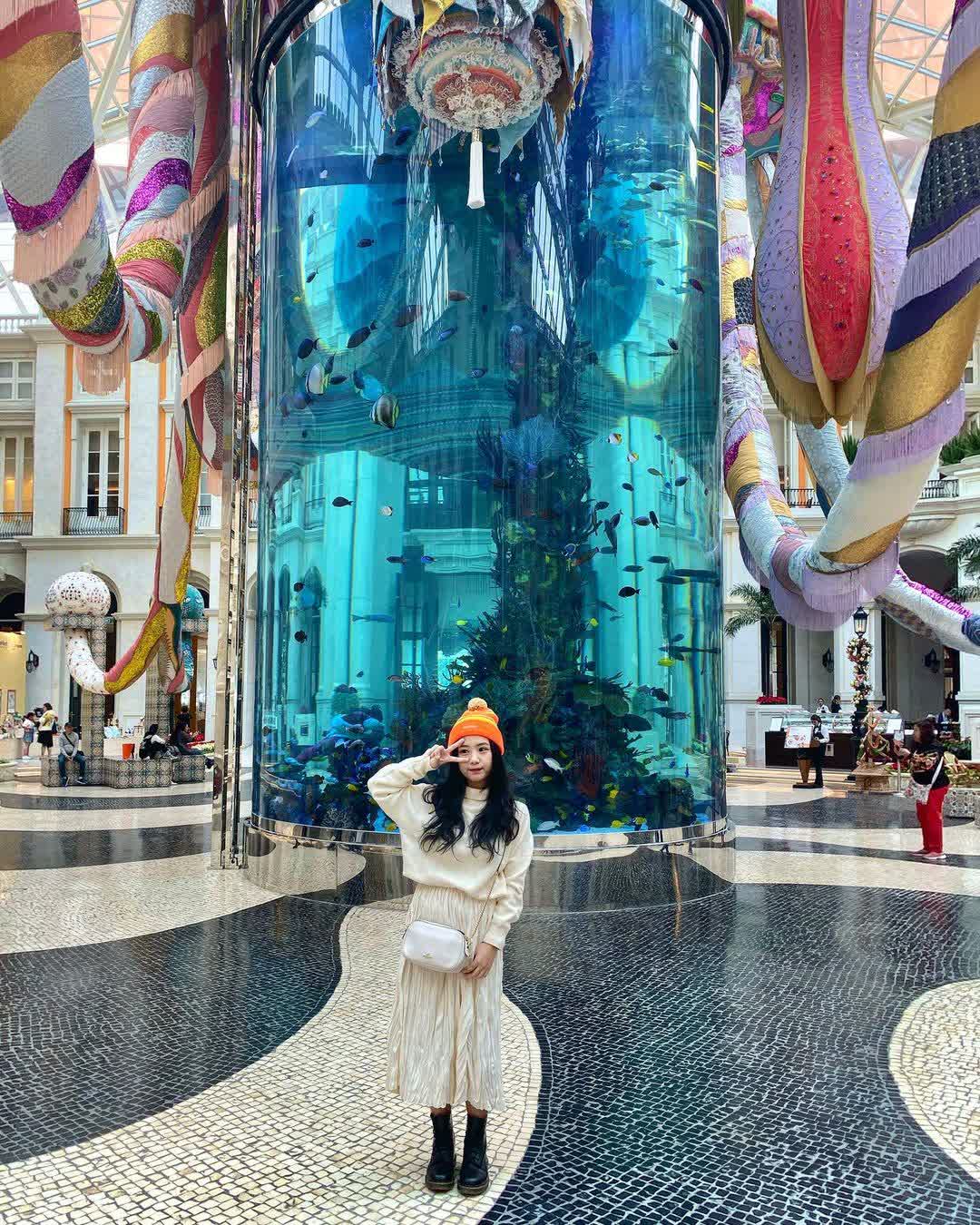 澳門美高梅 | 去趣 chicTrip