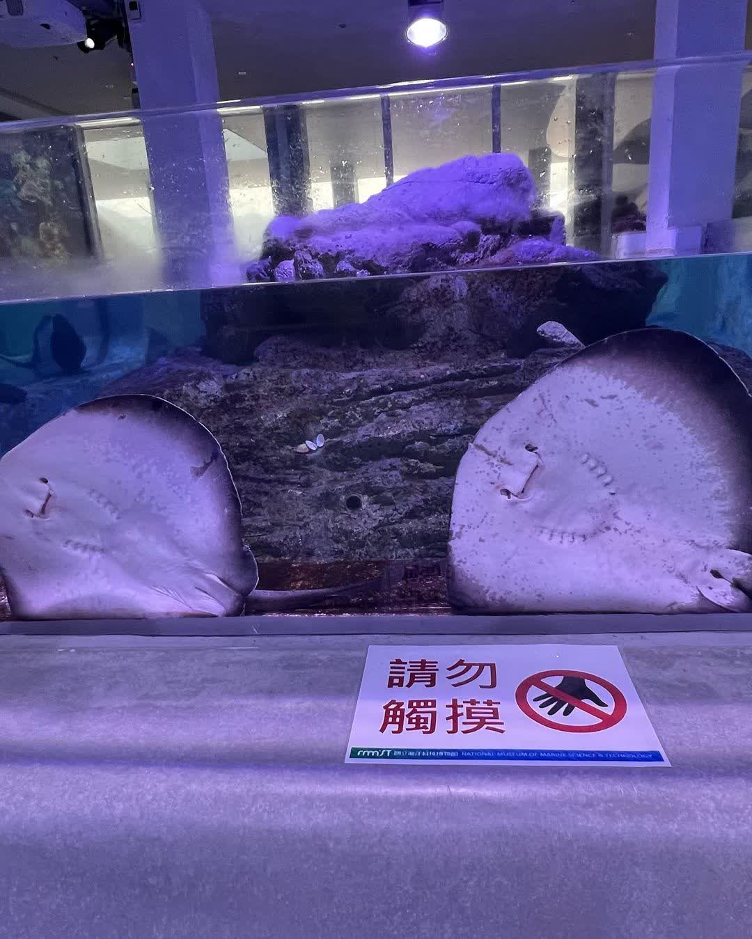 潮境公園 | 去趣 chicTrip