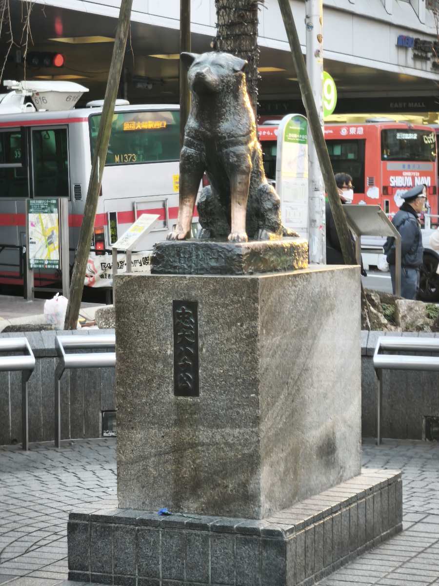 忠犬八公像 | 去趣 chicTrip