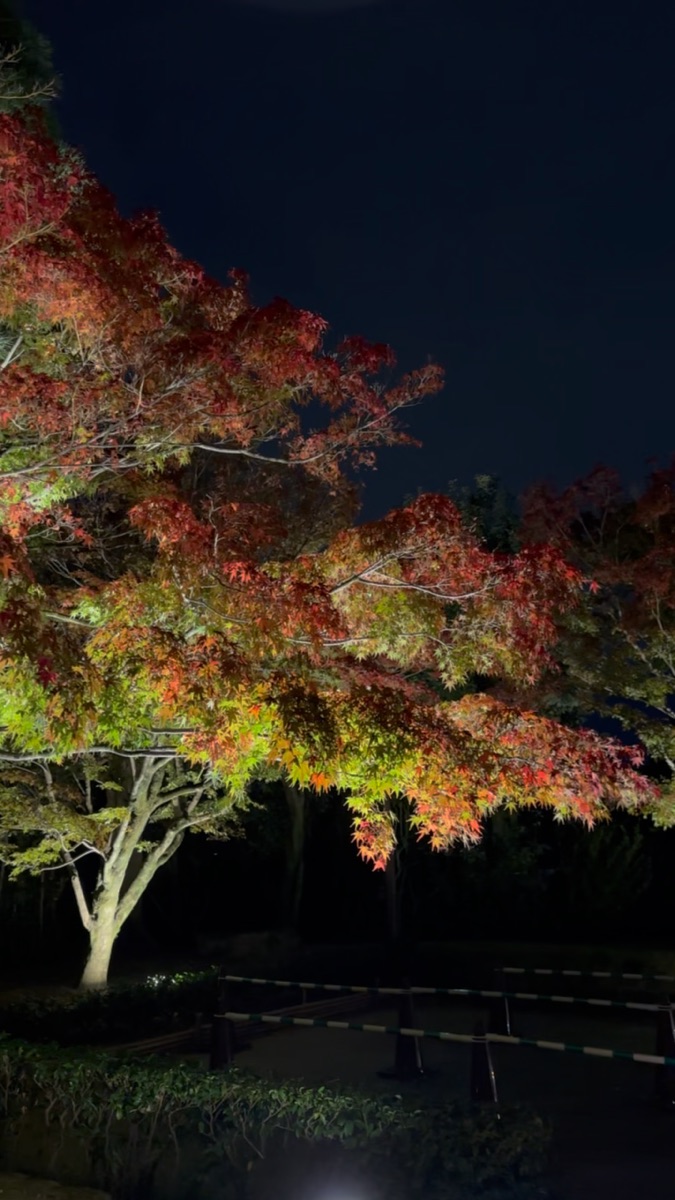 平等院 | 去趣 chicTrip