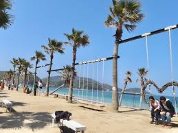 Palm Tree Swing | 去趣 chicTrip