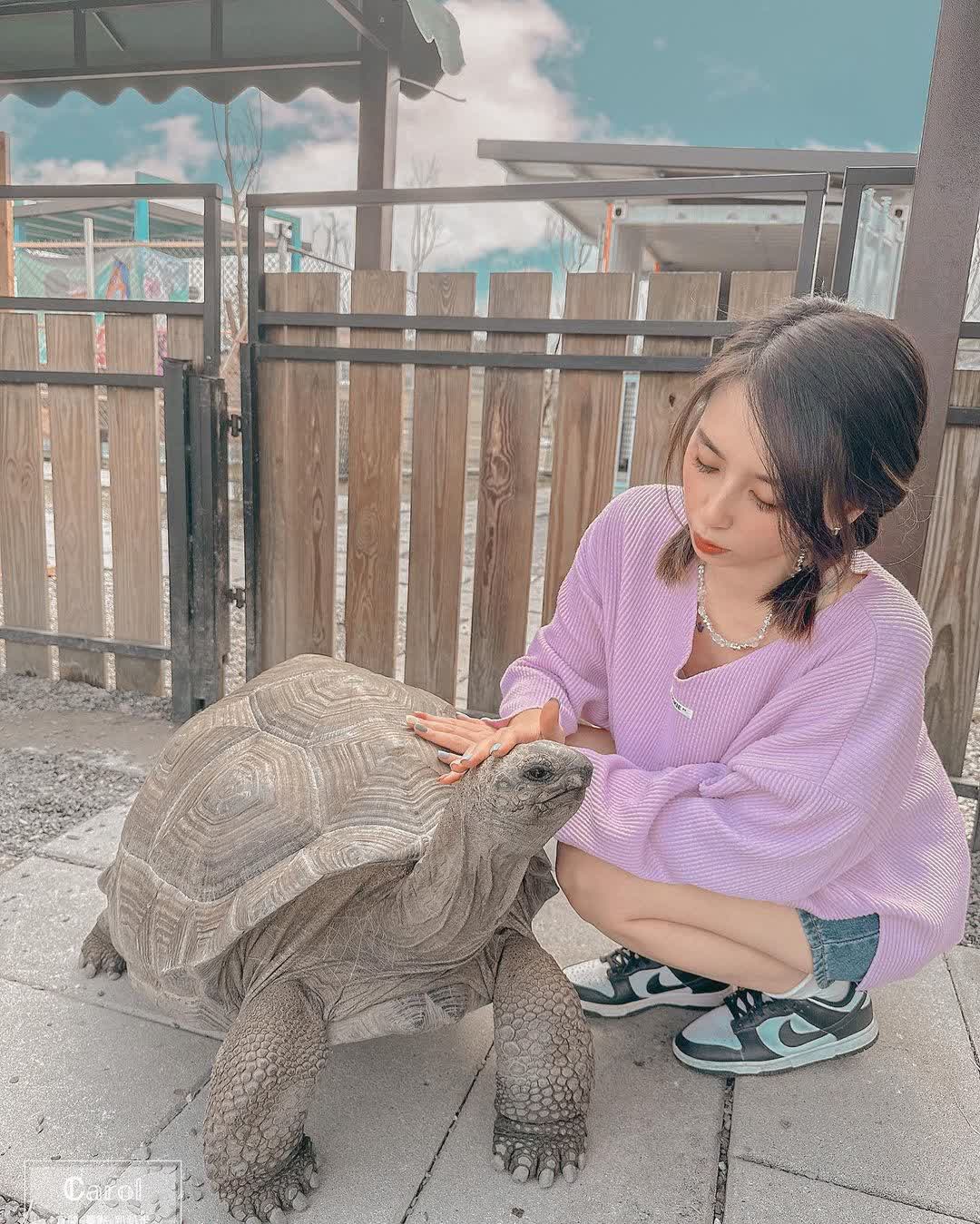 星夢森林劇場 | 去趣 chicTrip