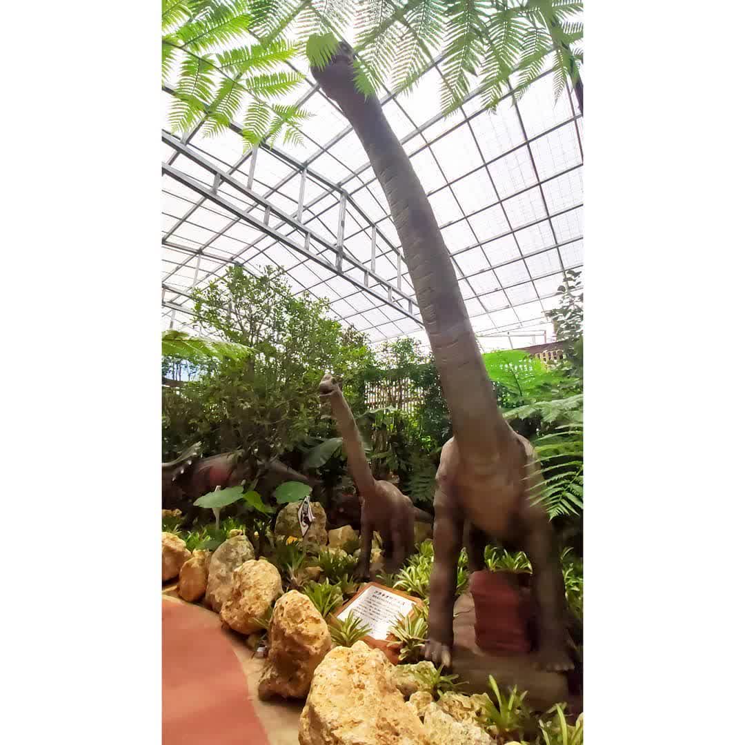 Nago Pineapple Park | 去趣 chicTrip