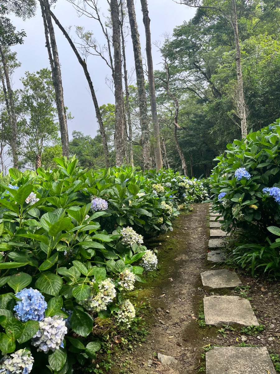 青山農場 | 去趣 chicTrip