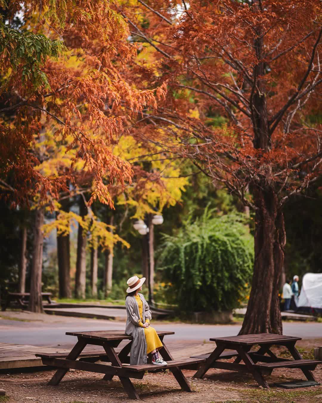 武陵農場 | 去趣 chicTrip