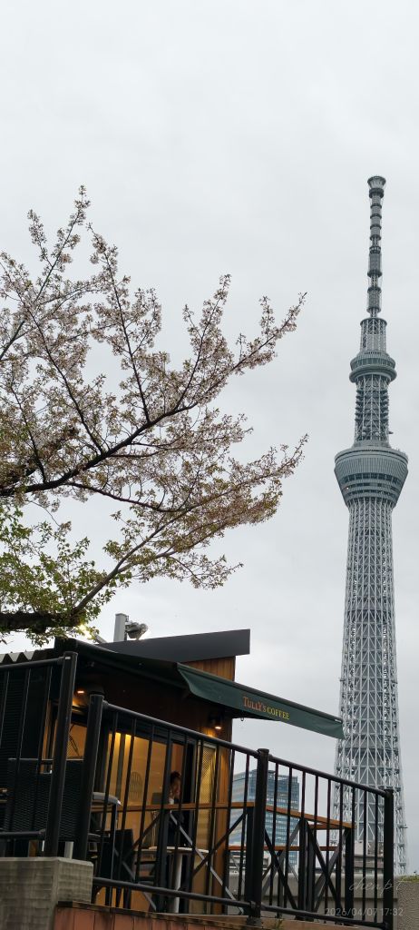 隅田公園 (淺草側) | 去趣 chicTrip