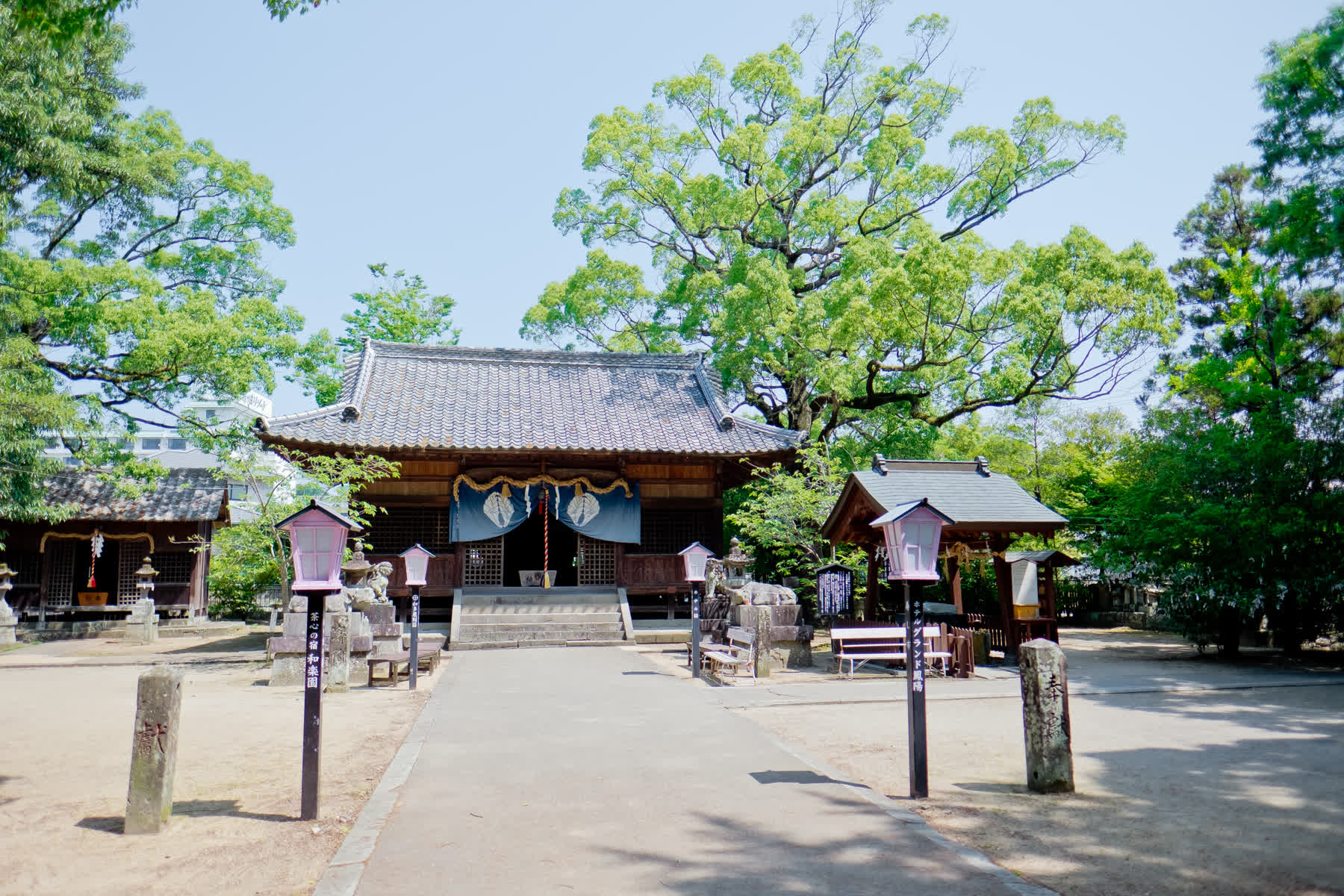 白鯰魚 豐玉姫神社 | 去趣 chicTrip