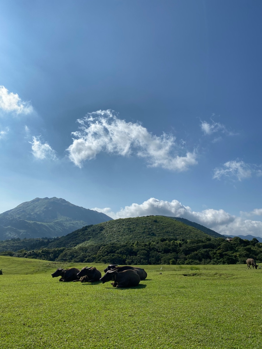 擎天崗 | 去趣 chicTrip