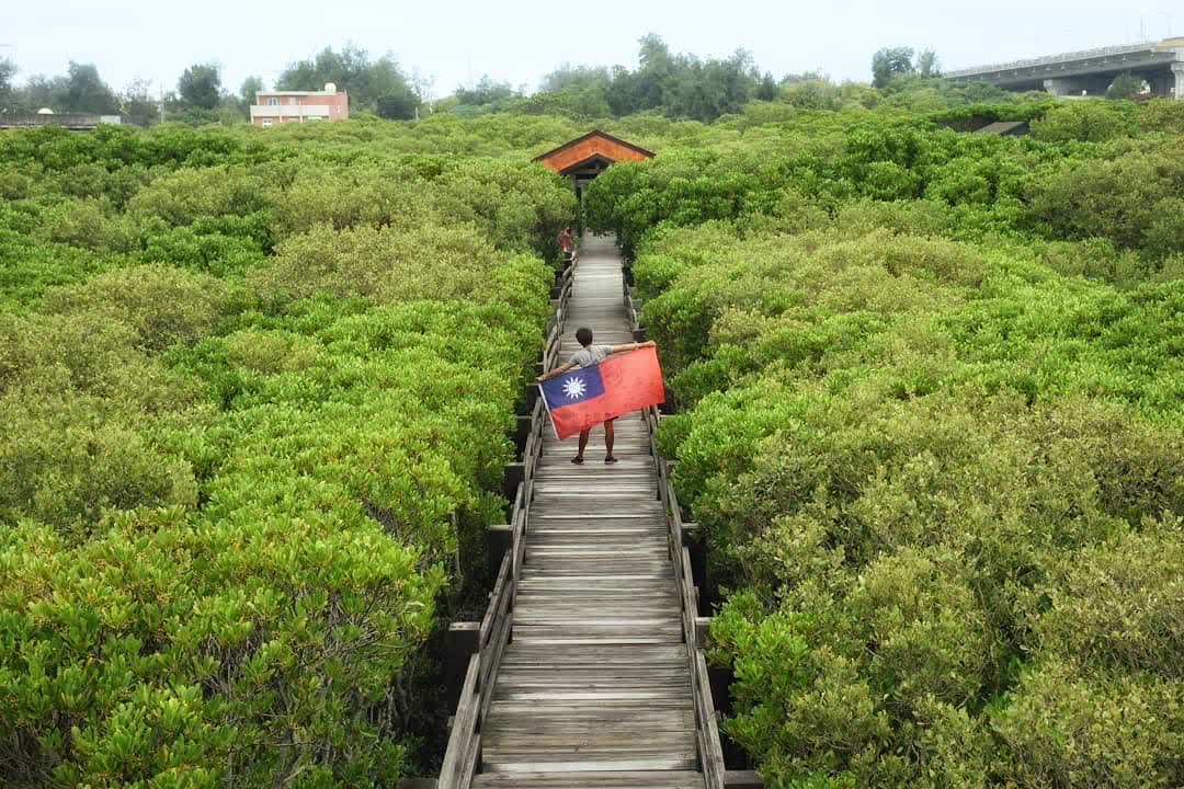 新豐紅樹林生態保護區 | 去趣 chicTrip