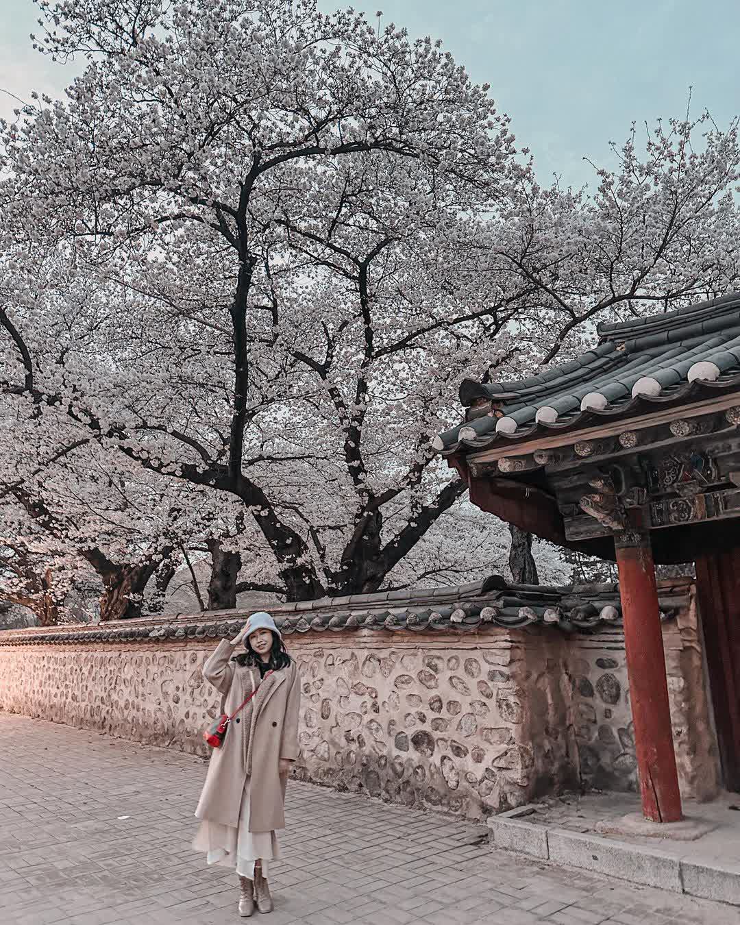 天馬塚 | 去趣 chicTrip