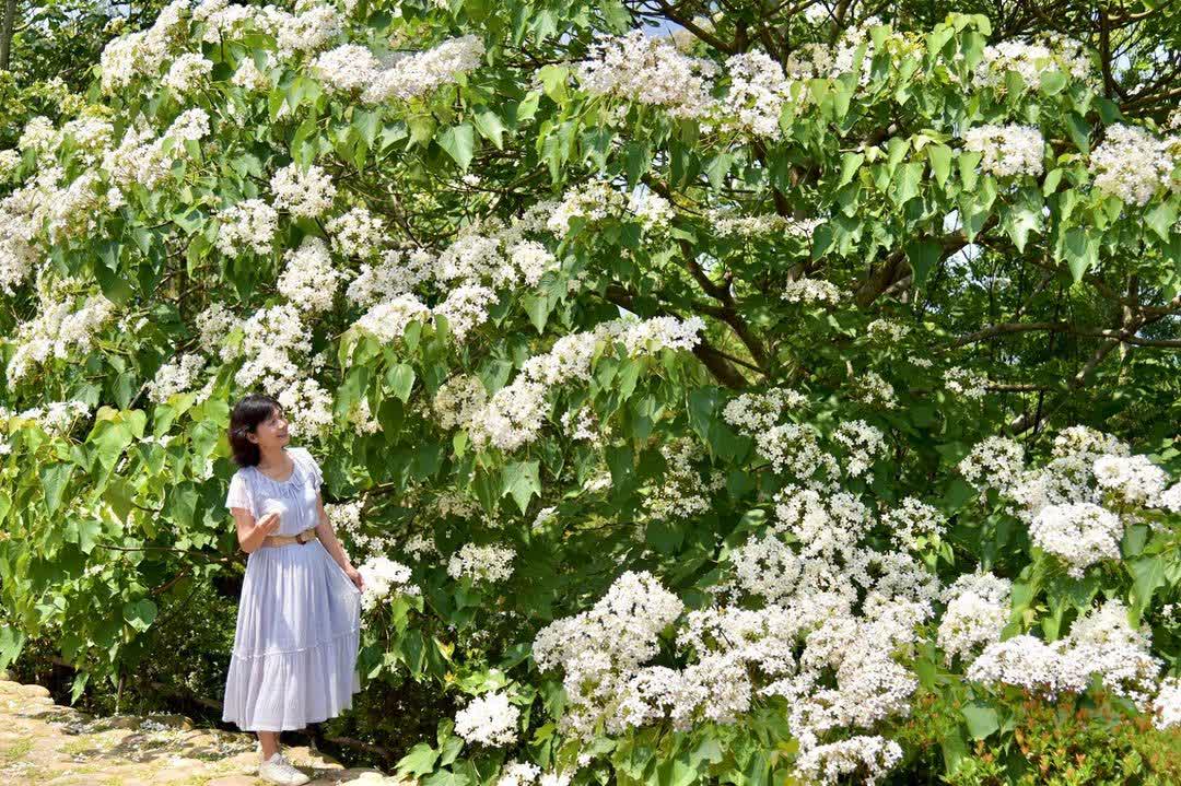 臺灣客家文化館 | 去趣 chicTrip