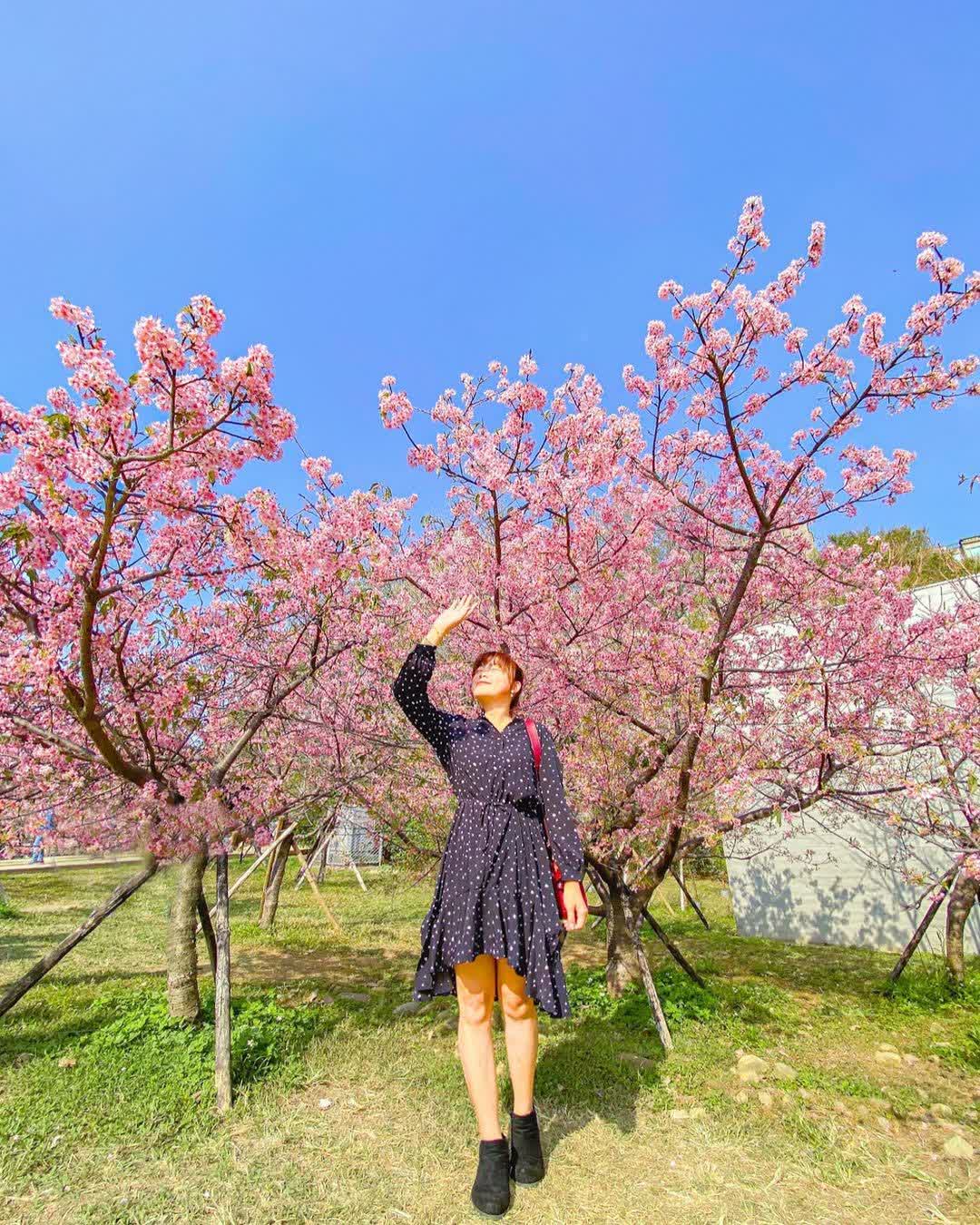 新竹公園 | 去趣 chicTrip