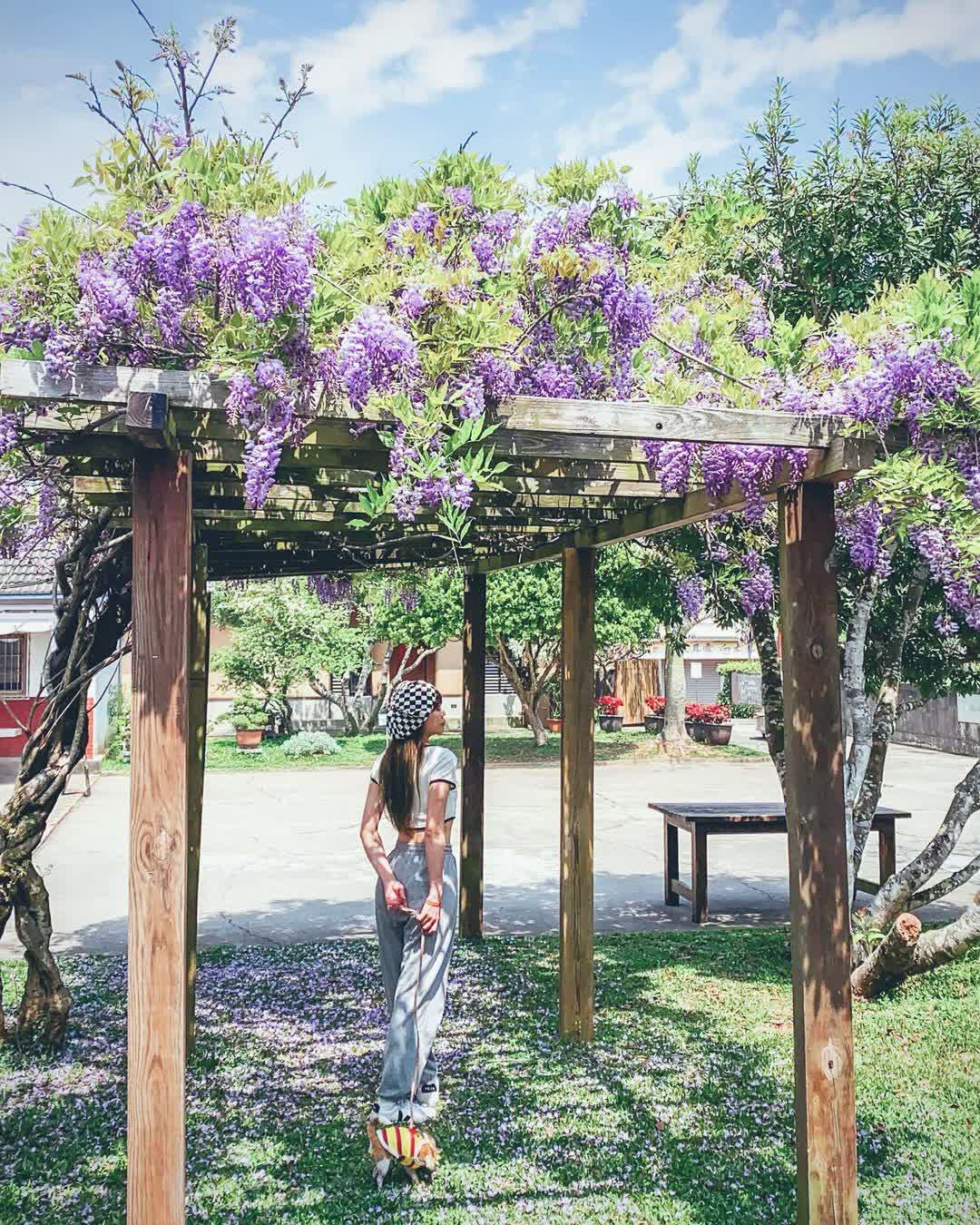 微熱山丘 南投三合院門市（總店） | 去趣 chicTrip