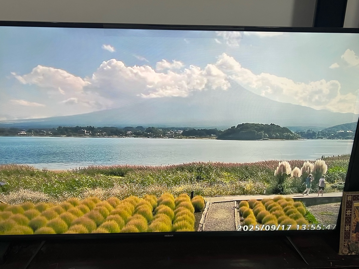 大石公園 | 去趣 chicTrip