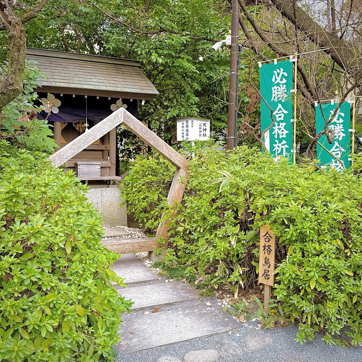 阿佐谷神明宮 | 去趣 chicTrip