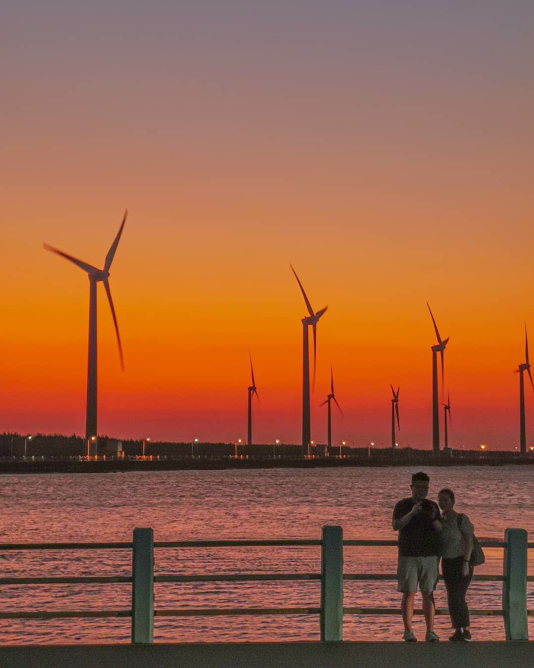 高美野生動物保護區 | 去趣 chicTrip