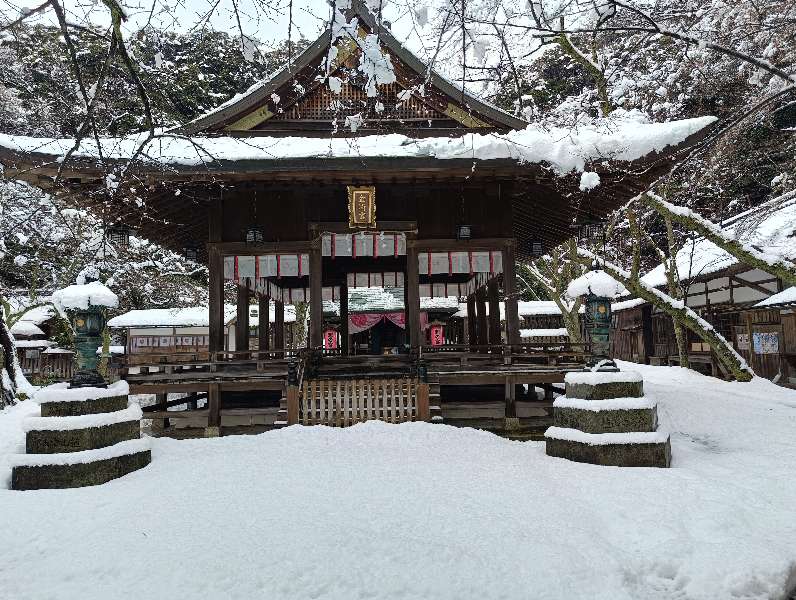 金崎宮 | 去趣 chicTrip