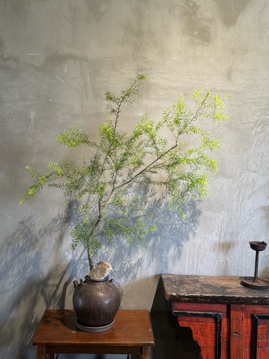 日光山茶屋 Nikko Hill Tea House | 去趣 chicTrip