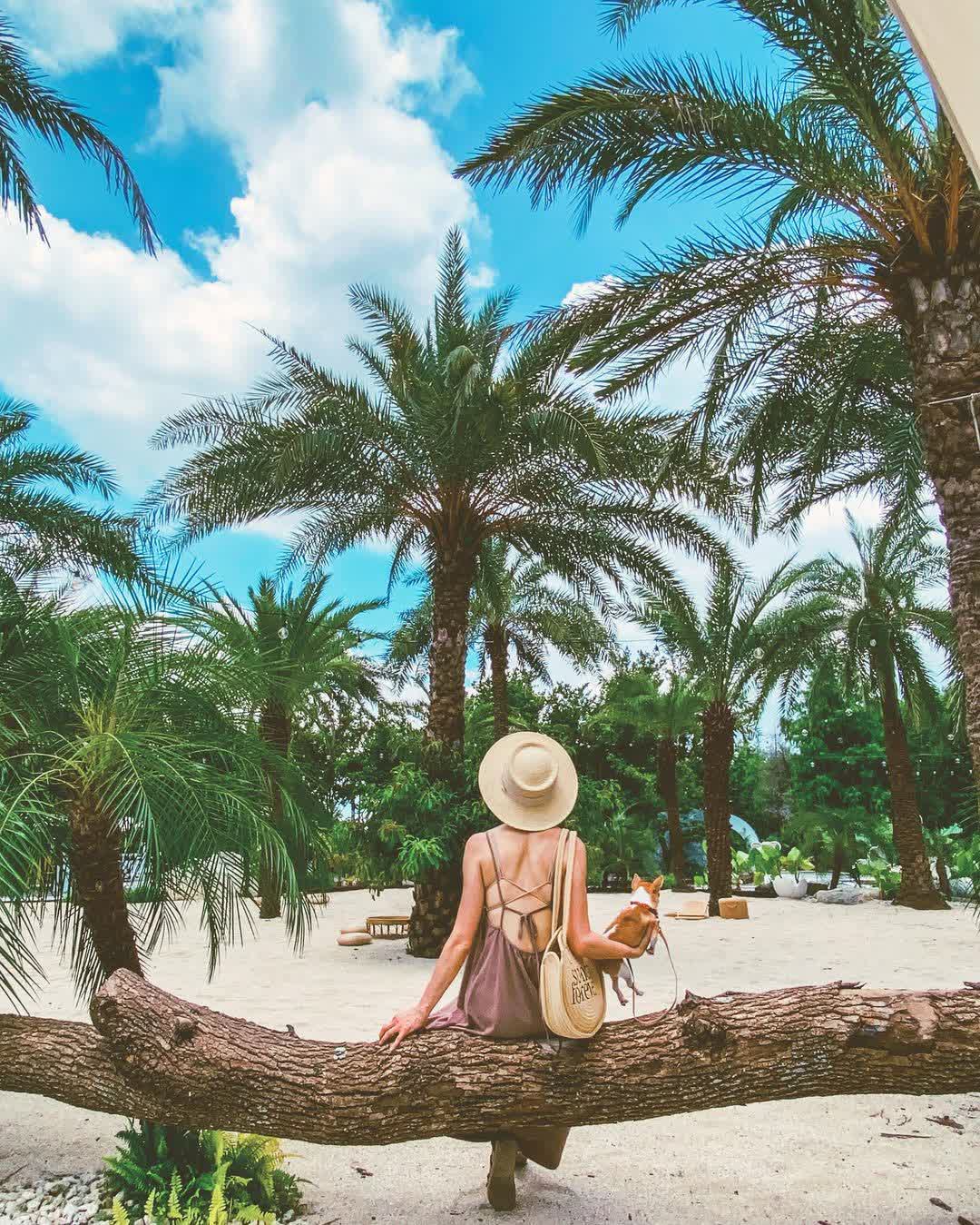 好田森林 | 去趣 chicTrip