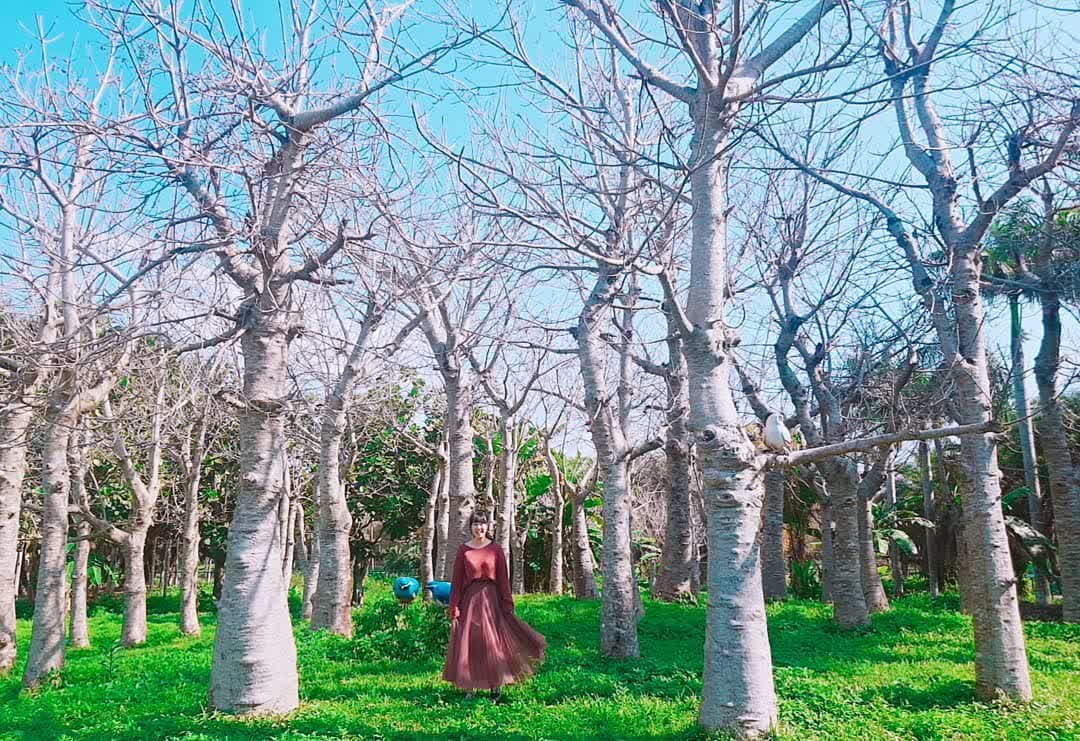 花蓮雲山水夢幻湖 | 去趣 chicTrip