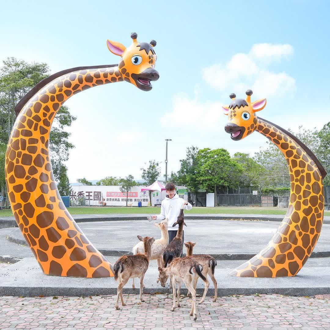 鹿野梅花鹿公園 | 去趣 chicTrip