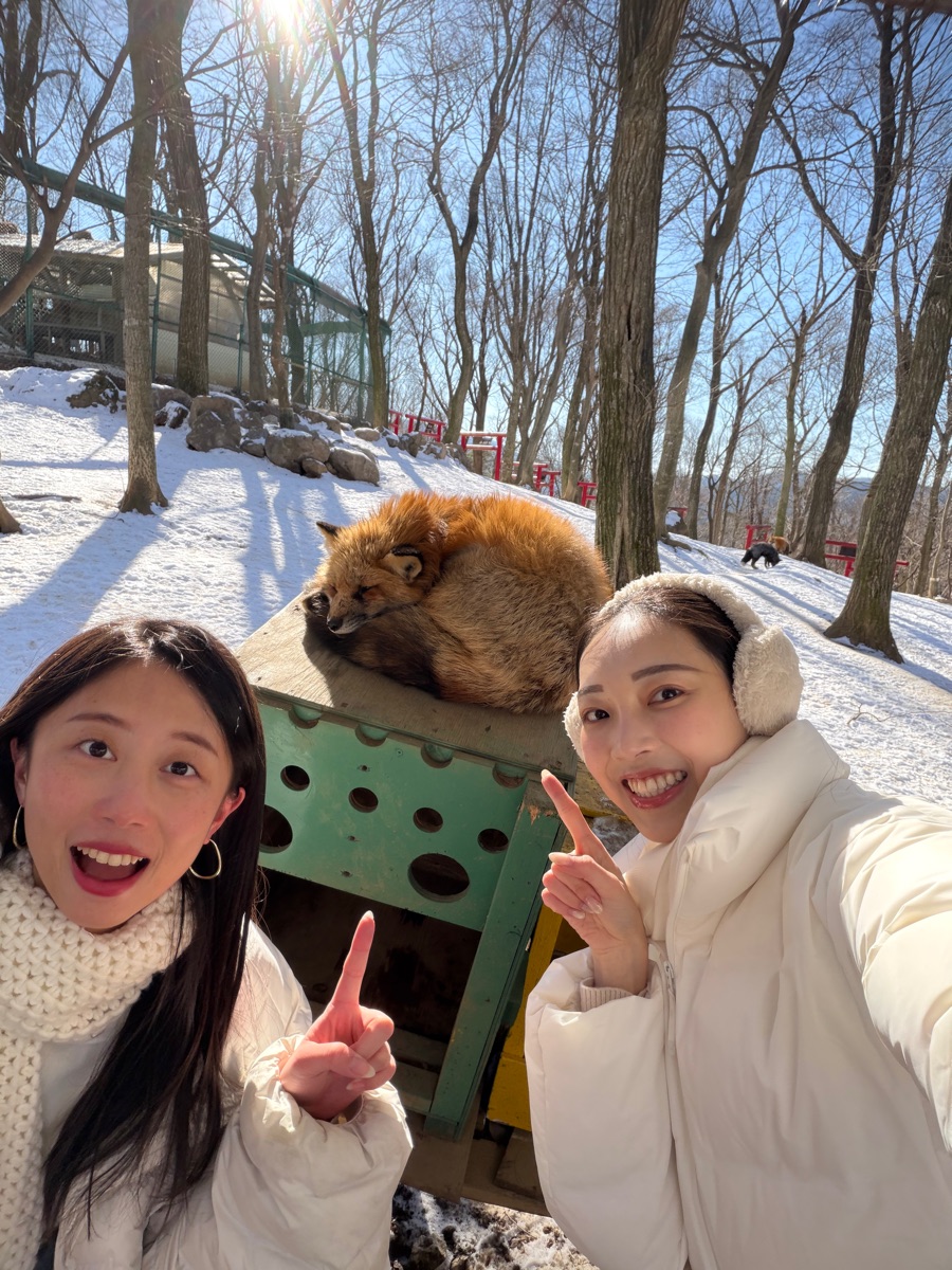 宮城藏王狐狸村 | 去趣 chicTrip