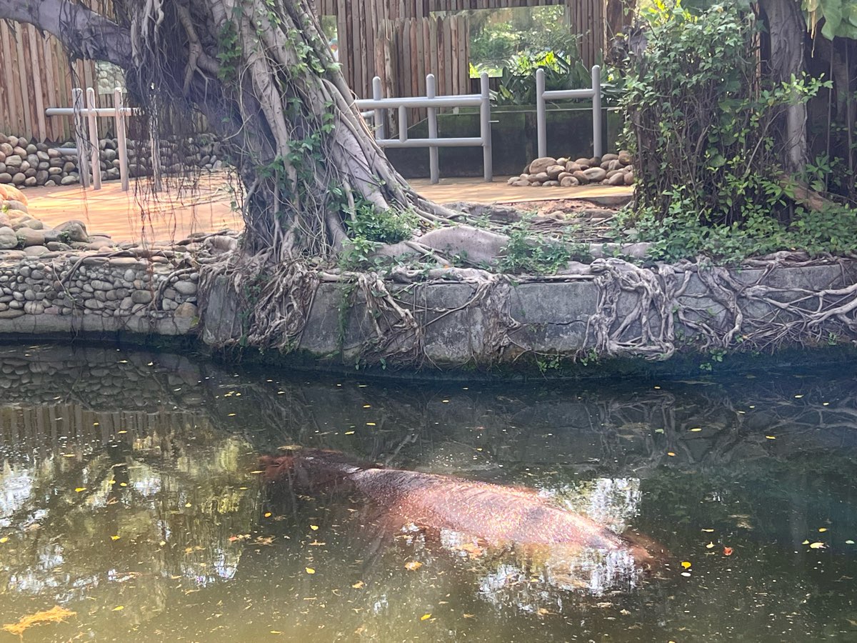 新竹市立動物園 | 去趣 chicTrip