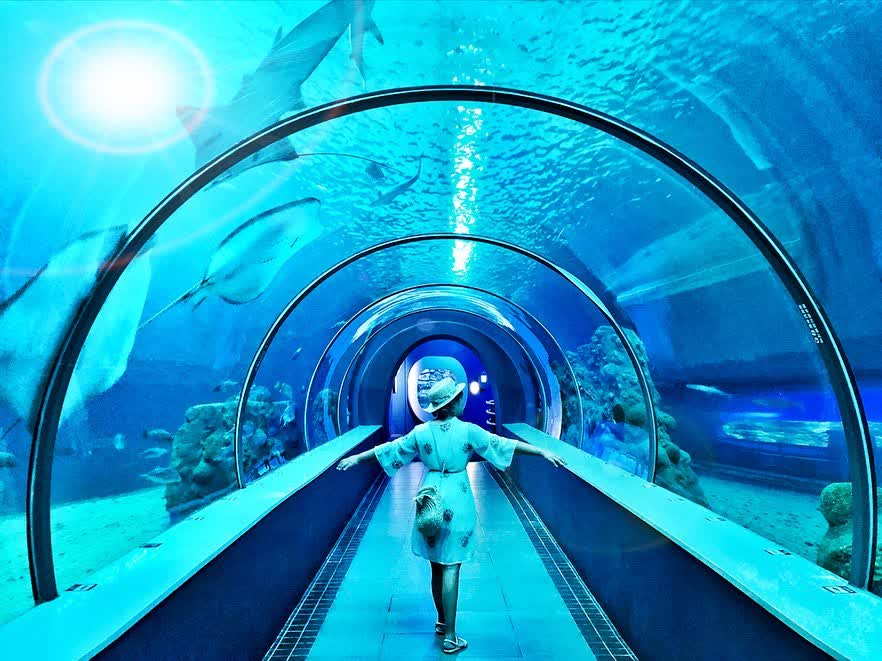 澎湖水族館 | 去趣 chicTrip