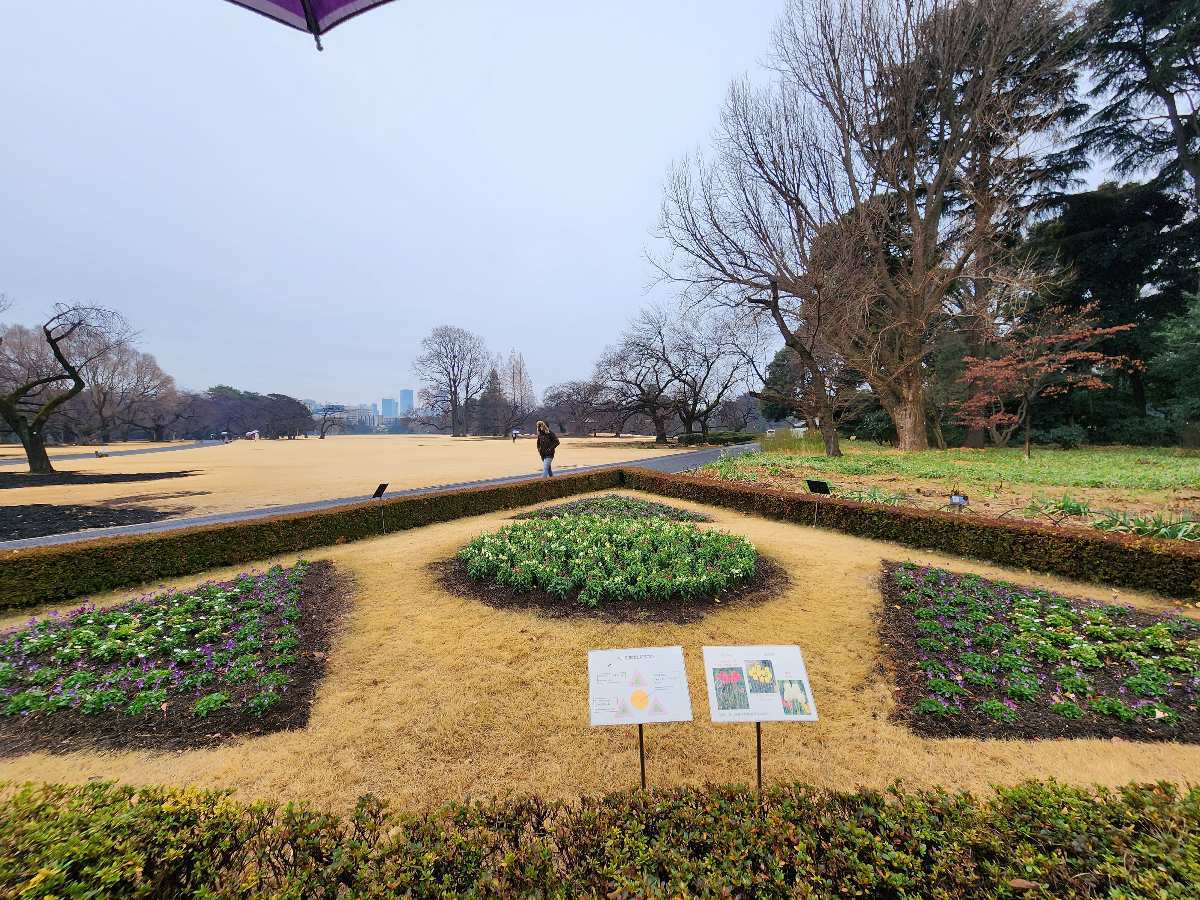 新宿御苑 | 去趣 chicTrip