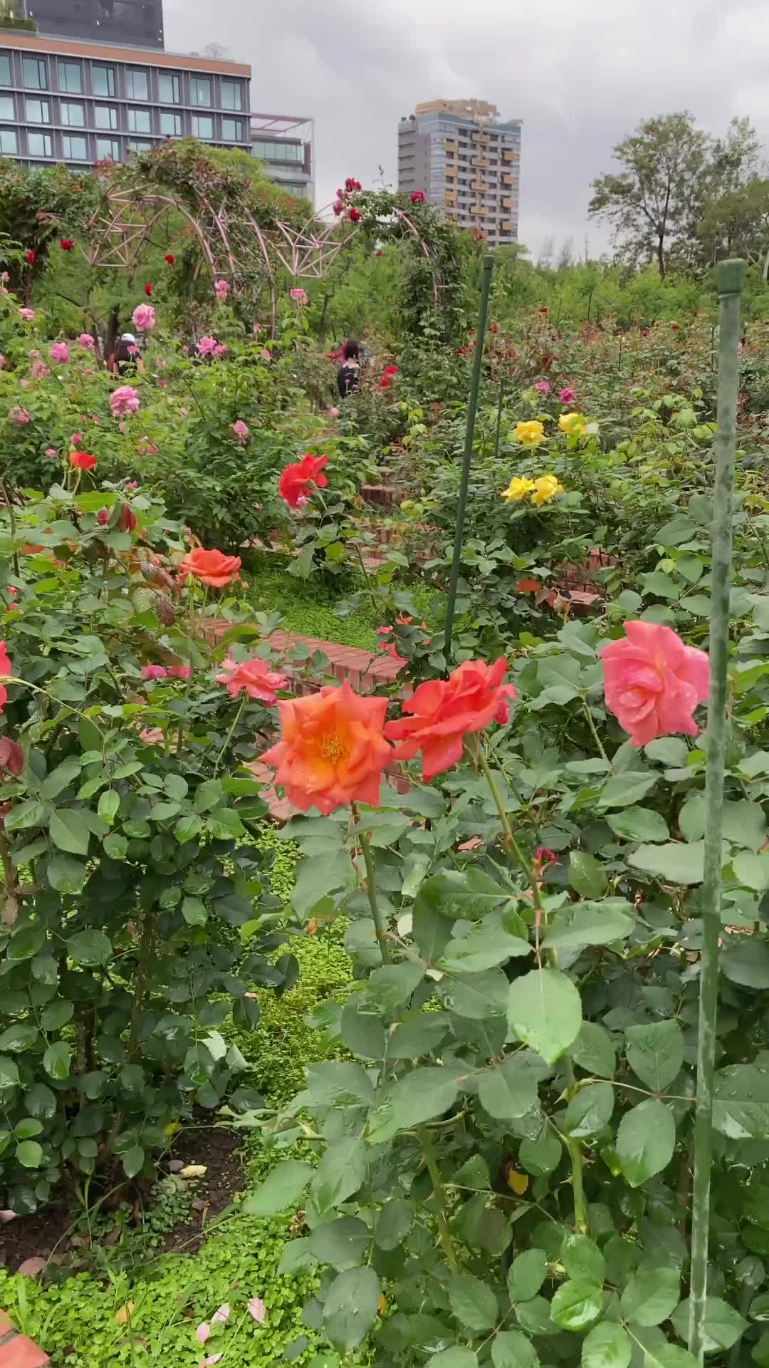 士林官邸公園 | 去趣 chicTrip