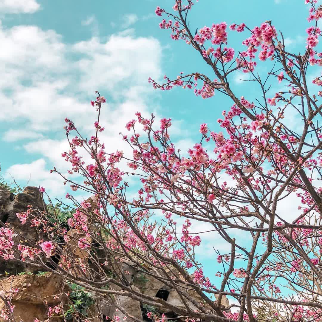 國立中正紀念堂 | 去趣 chicTrip