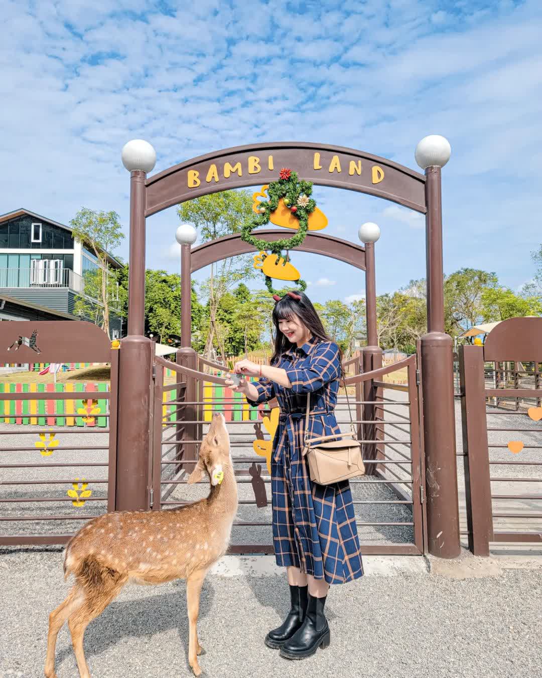 宜蘭-斑比山丘 | 去趣 chicTrip