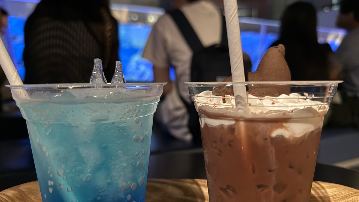 墨田水族館 | 去趣 chicTrip