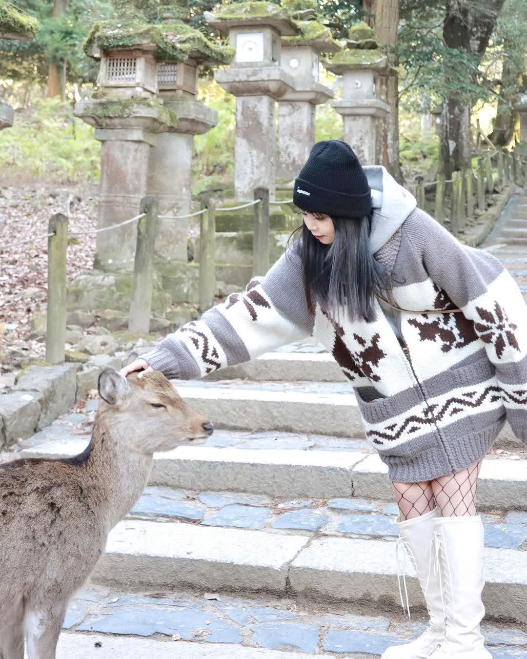 春日大社 | 去趣 chicTrip