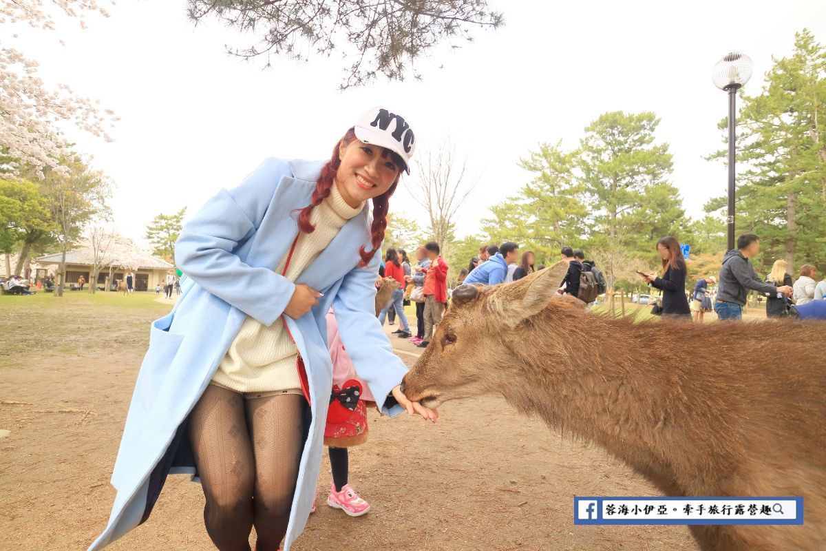 奈良公園 | 去趣 chicTrip