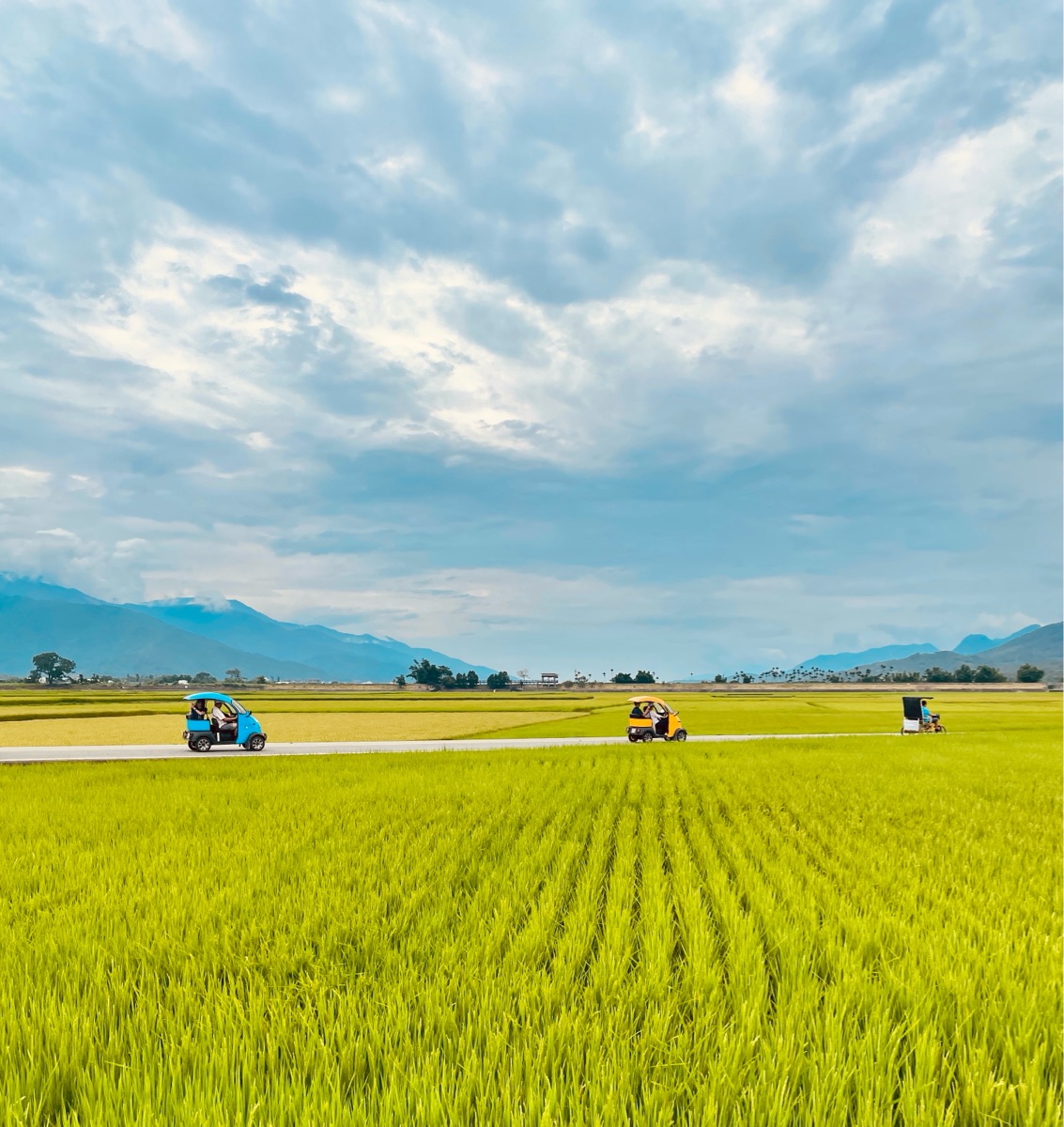 臺東池上錦新三號道路 伯朗大道 | 去趣 chicTrip