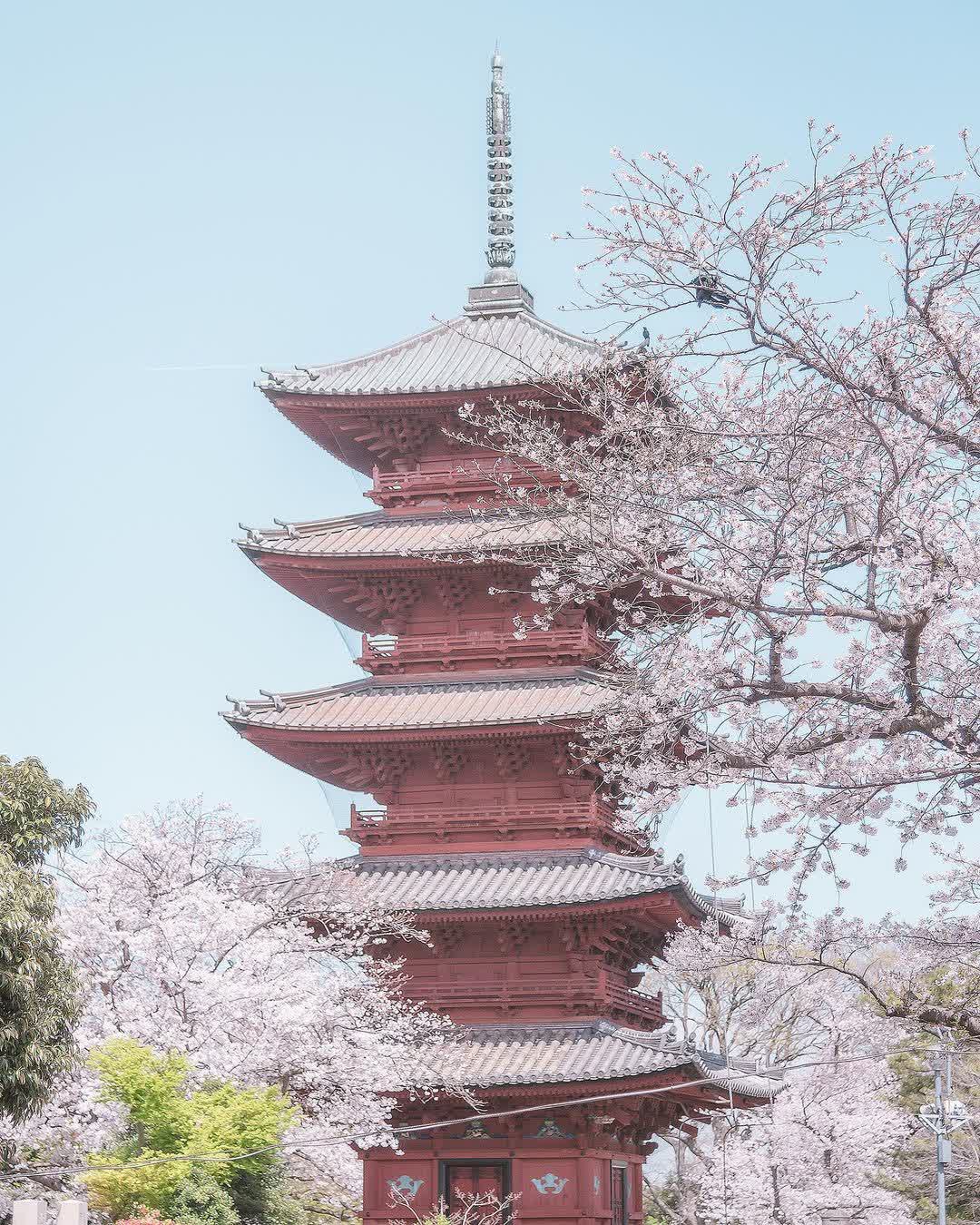 池上本門寺 | 去趣 chicTrip