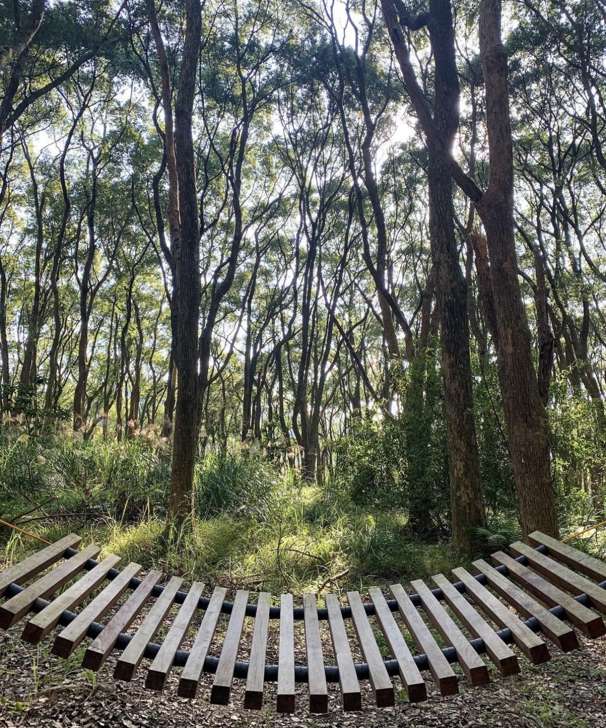 東勢林場遊樂區 | 去趣 chicTrip