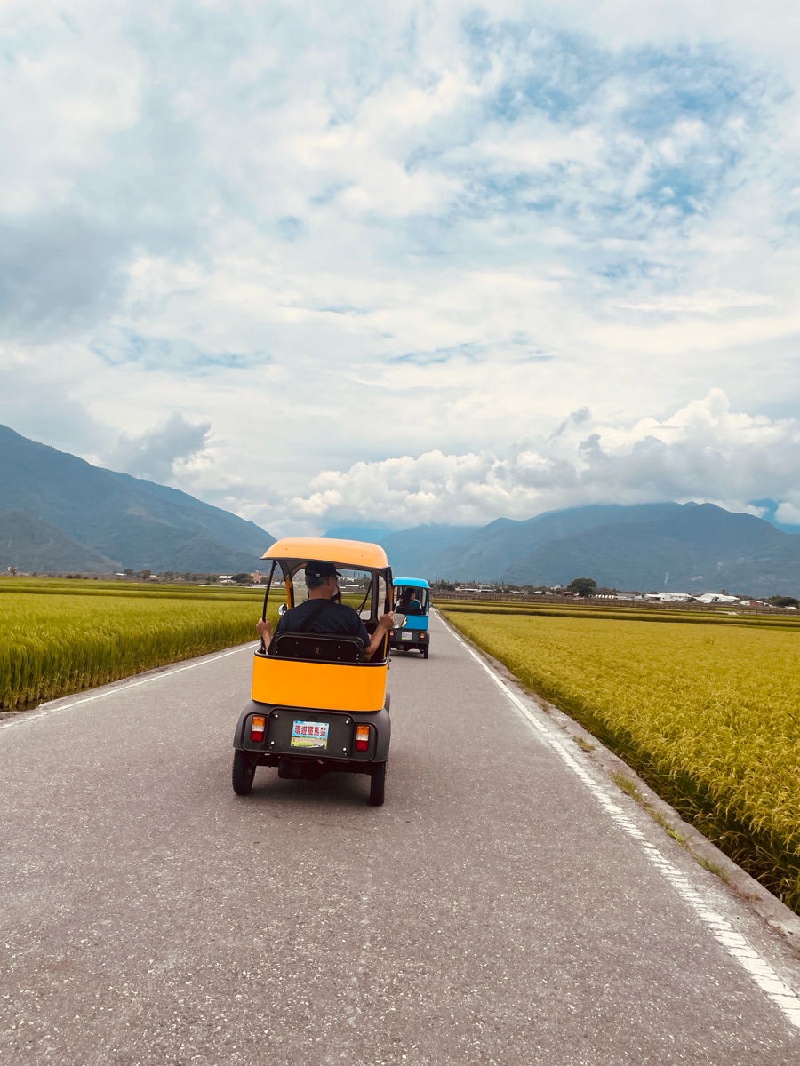 臺東池上錦新三號道路 伯朗大道 | 去趣 chicTrip